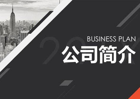 上海飞书深诺数字科技集团股份有限公司公司简介